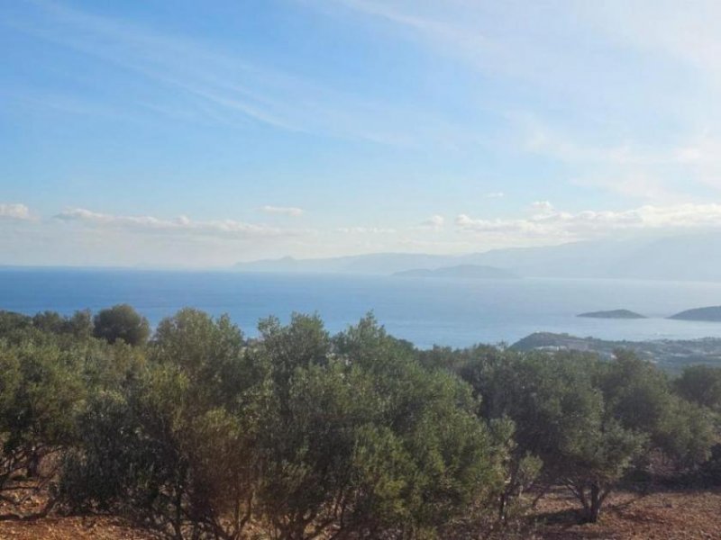 Agios Nikolaos Kreta, Agios Nikolaos: Großes Baugrundstück mit herrlichem Meerblick zu verkaufen Grundstück kaufen